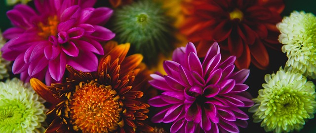 滕哈格對桑喬事件處理不當 何塞·恩裏克：他會在波切蒂諾之前下課.