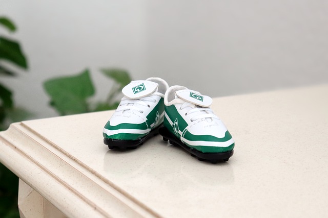 山东省小球运动联合会第二届会员大会第二次会议举行.